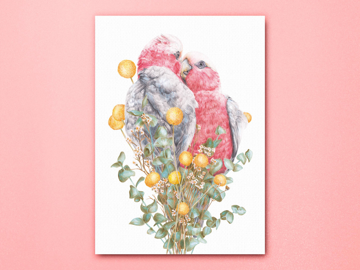 Galahs Art Print