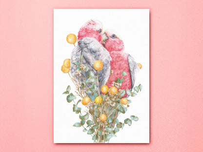 Galahs Art Print