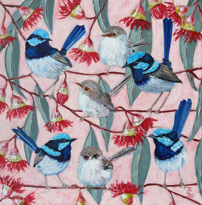 Fairy Wrens among Red Gum Blossoms Premium Greeting Card