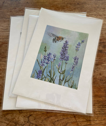Native Bee and Lavender Poster Print A3