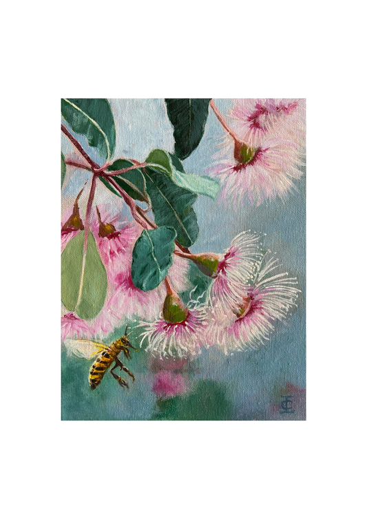 Gum Blossoms and Honeybee Poster Print A3