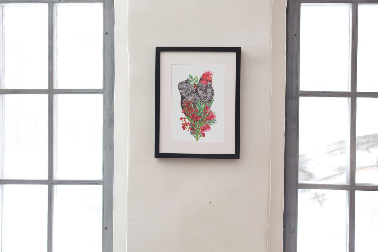 Gang-gang Cockatoos Art Print