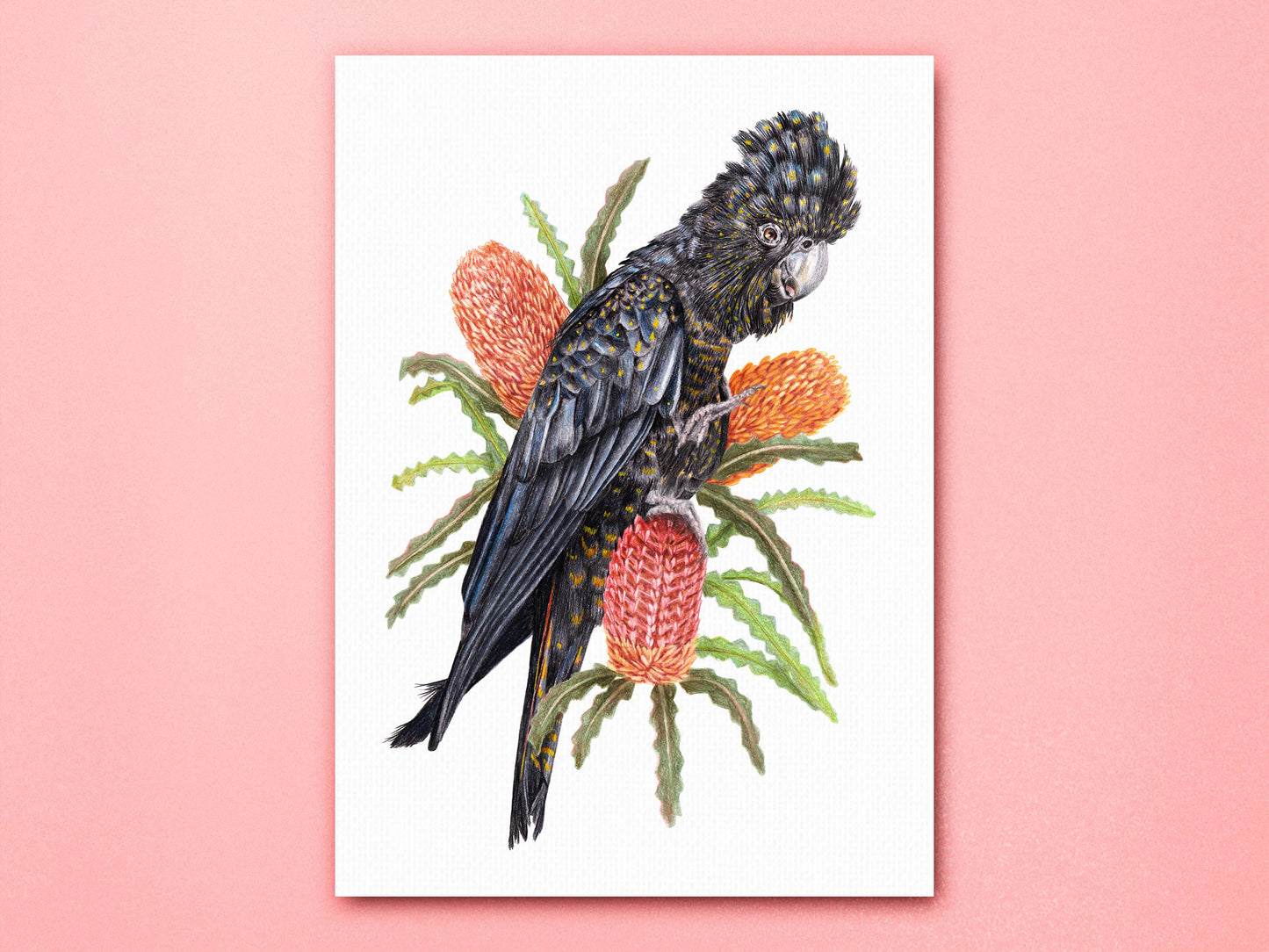 Red-tailed Black Cockatoo Linen Art Print