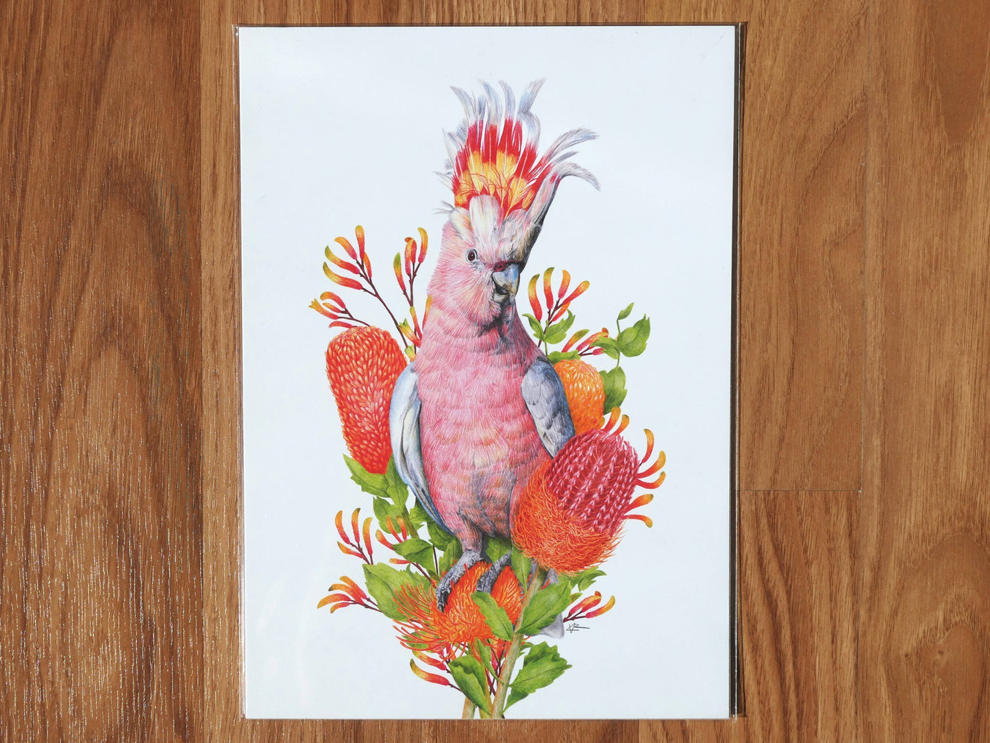 Pink Cockatoo Art Print