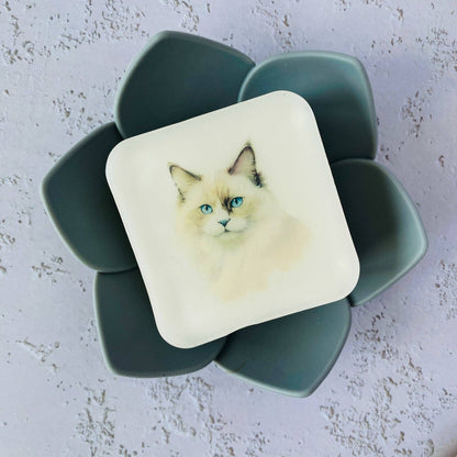 Handmade Artisan Soap | Ragdoll | Whisker Wonders