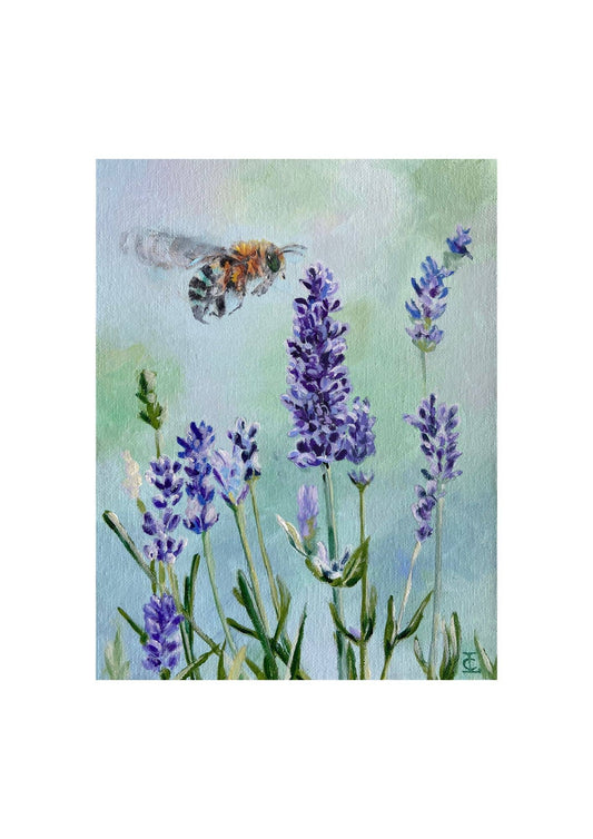 Native Bee and Lavender Poster Print A3