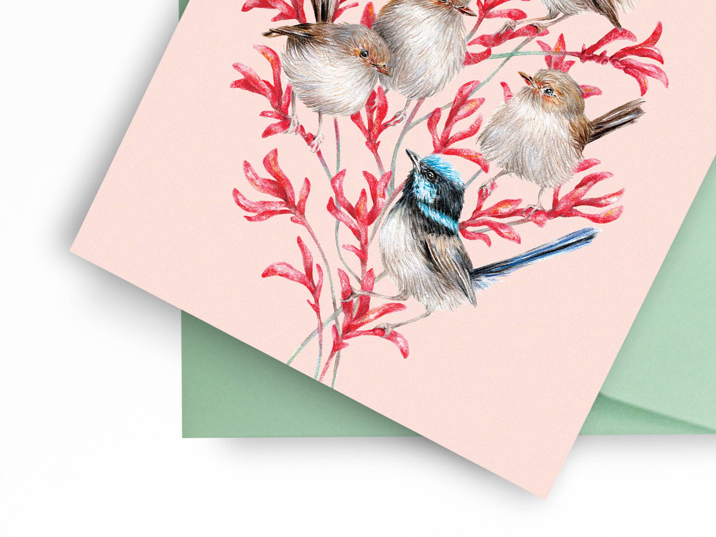 Superb Fairy-wren Family Greeting Card