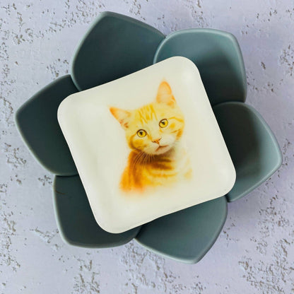 Handmade Artisan Soap | Domestic Shorthair (Ginger)