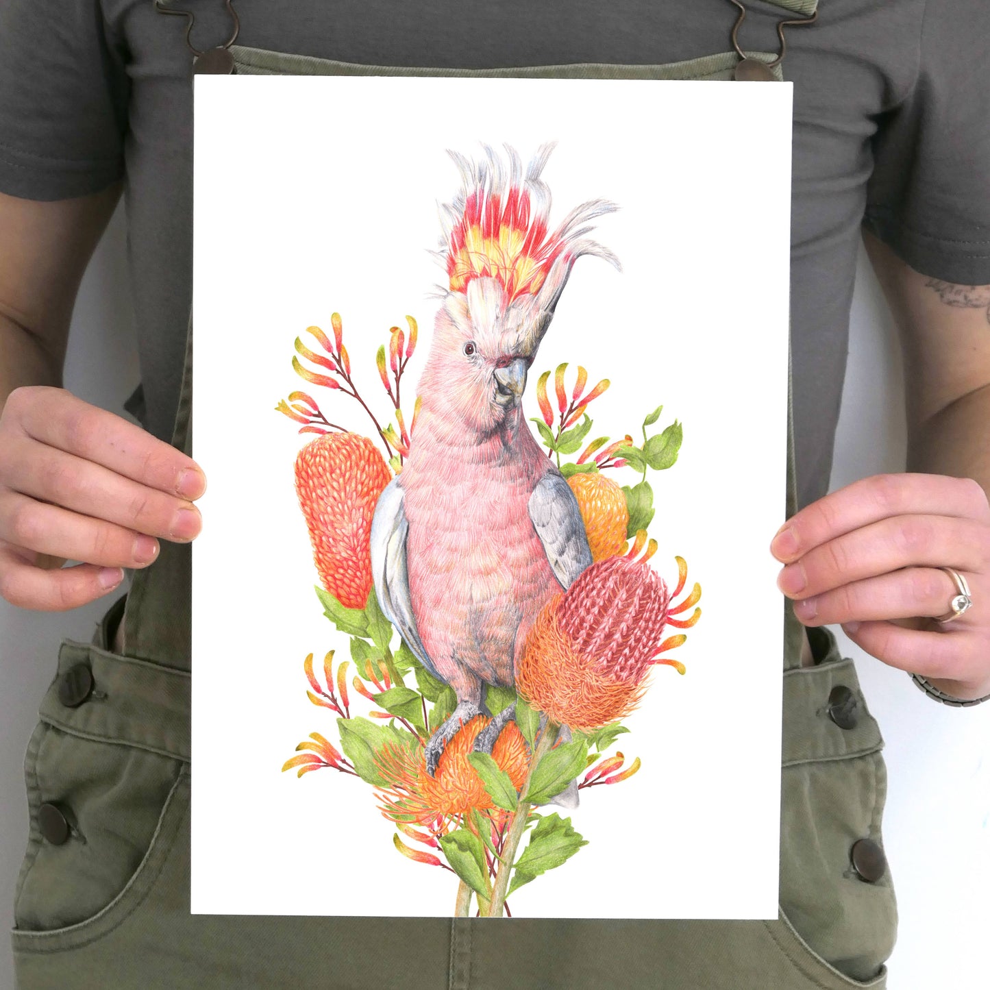 Pink Cockatoo Art Print
