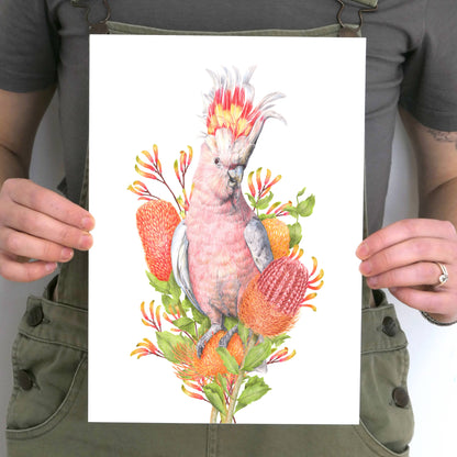 Pink Cockatoo Art Print