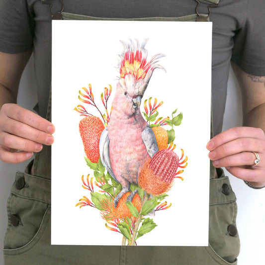 Pink Cockatoo Art Print