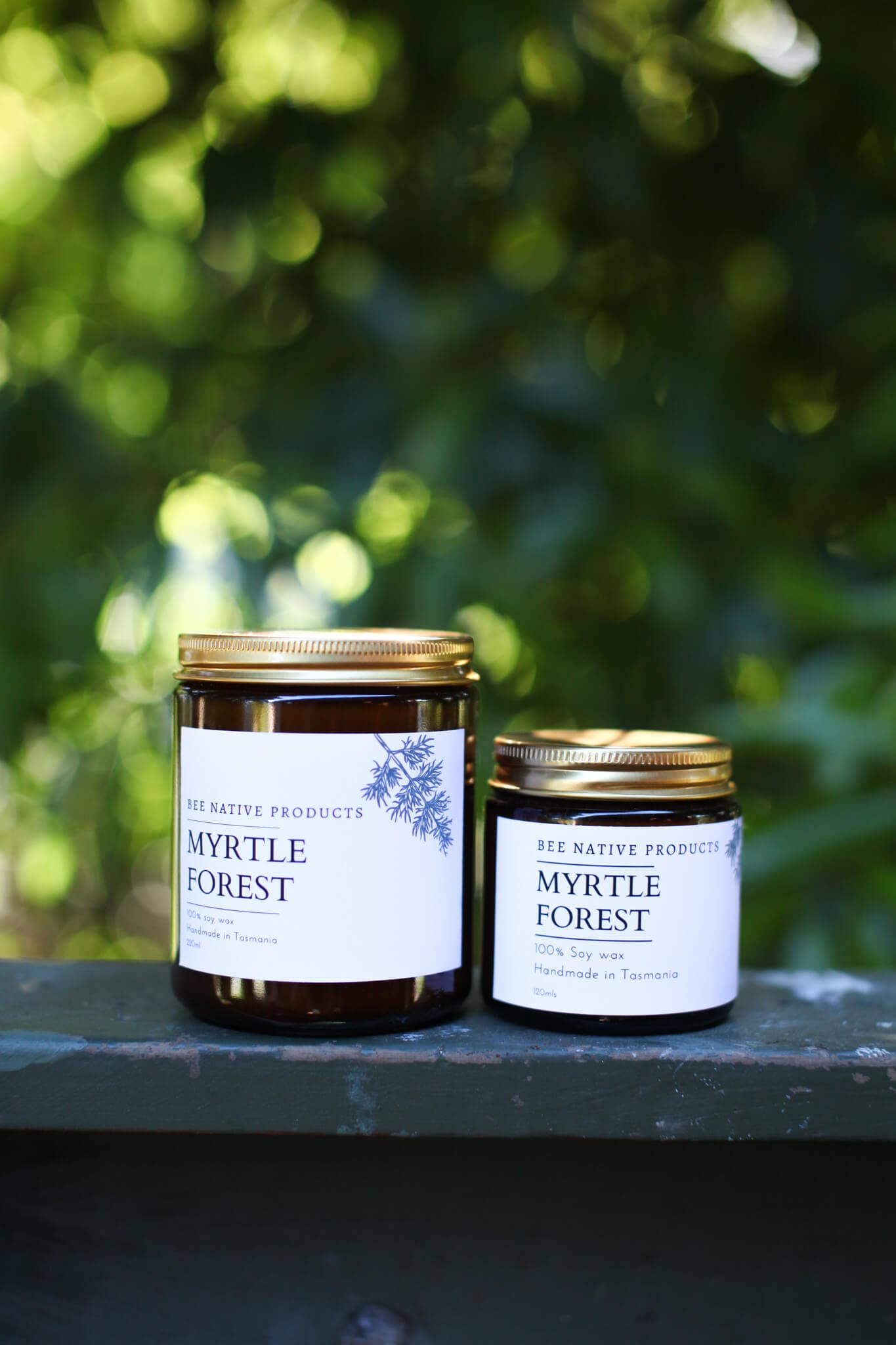 Myrtle Forest Soy Candle
