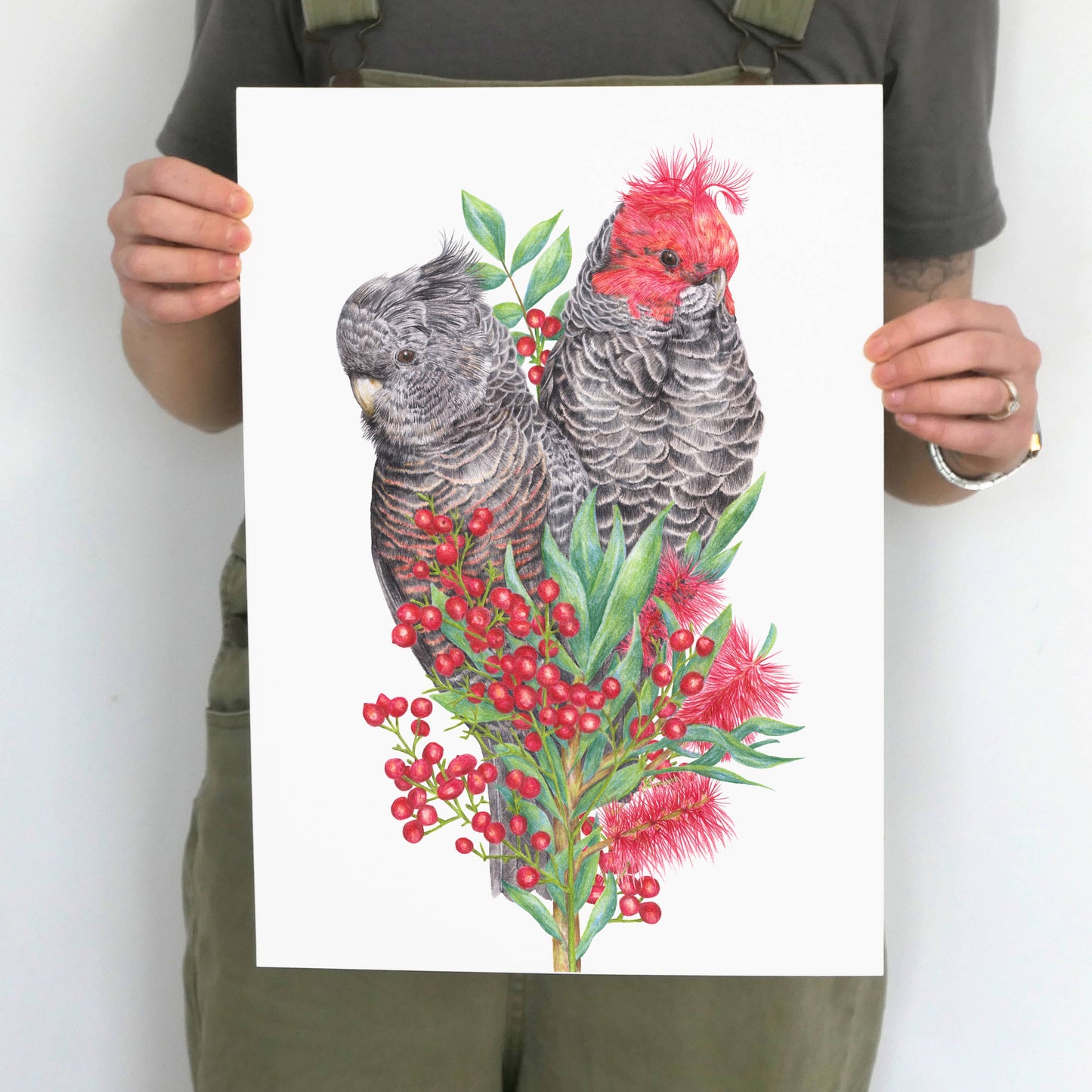 Gang-gang Cockatoos Art Print