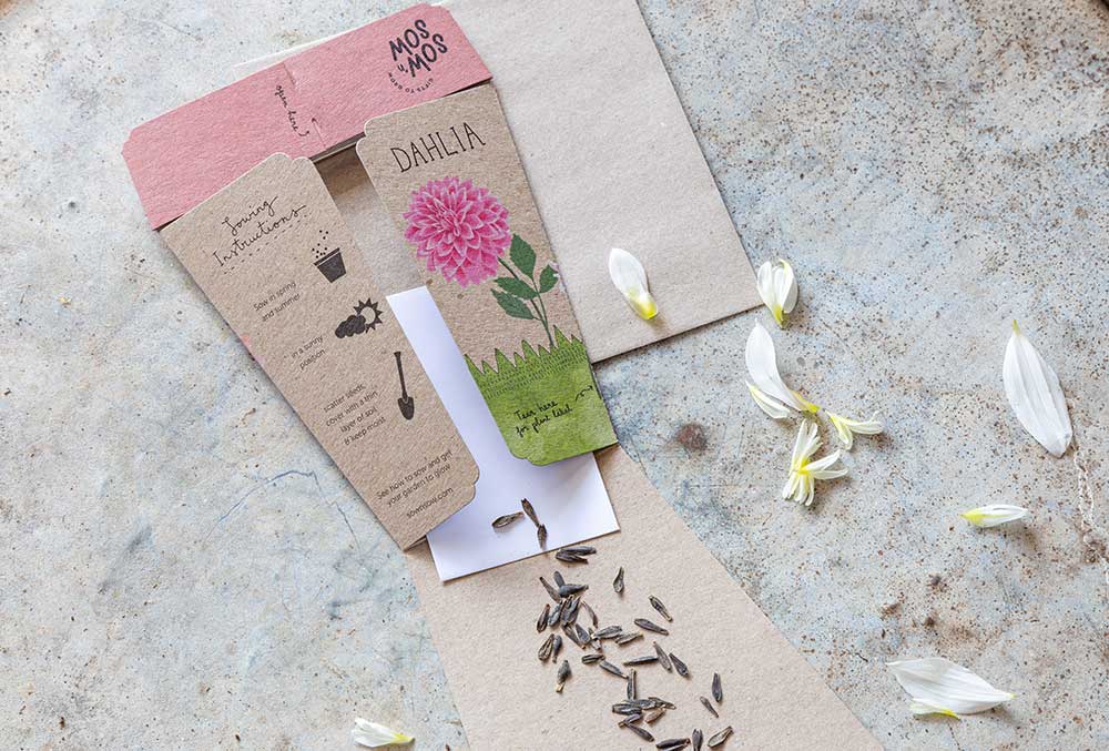 Dahlia Gift of Seeds (Australia Only)