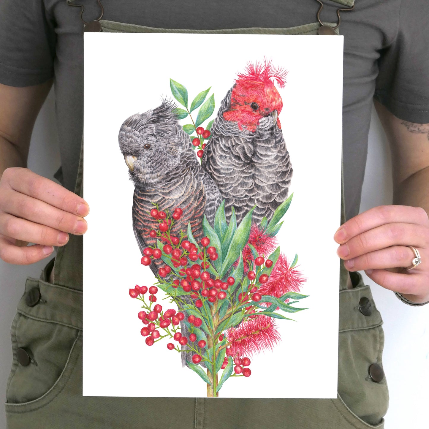 Gang-gang Cockatoos Art Print