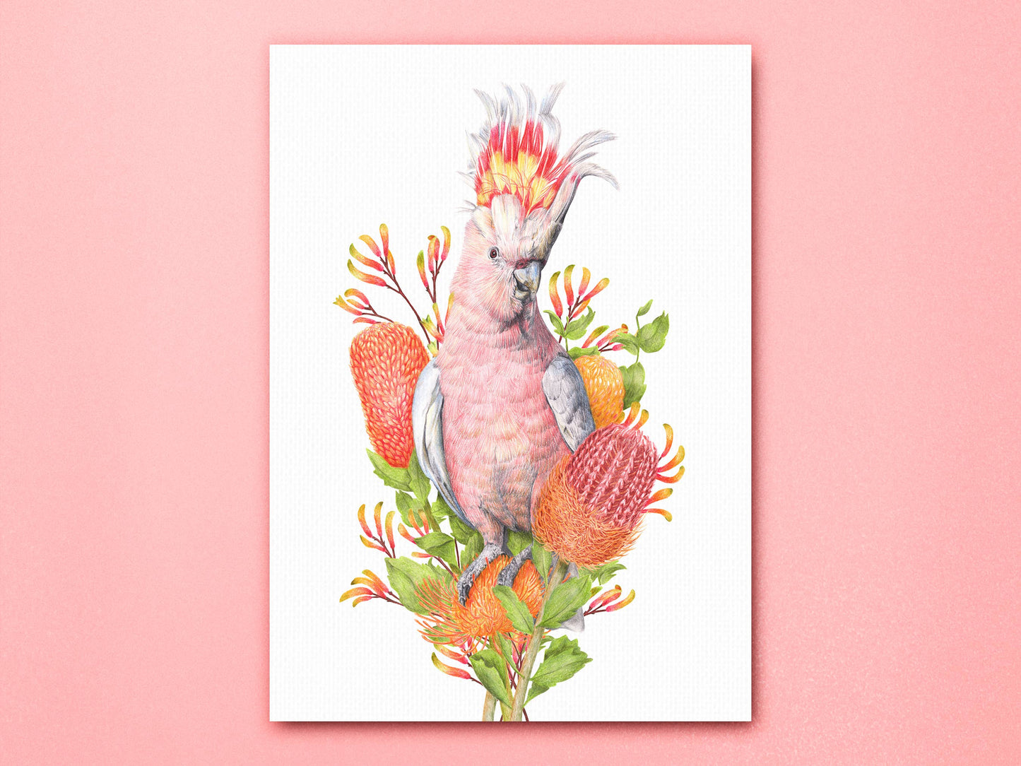 Pink Cockatoo Art Print
