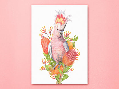 Pink Cockatoo Art Print