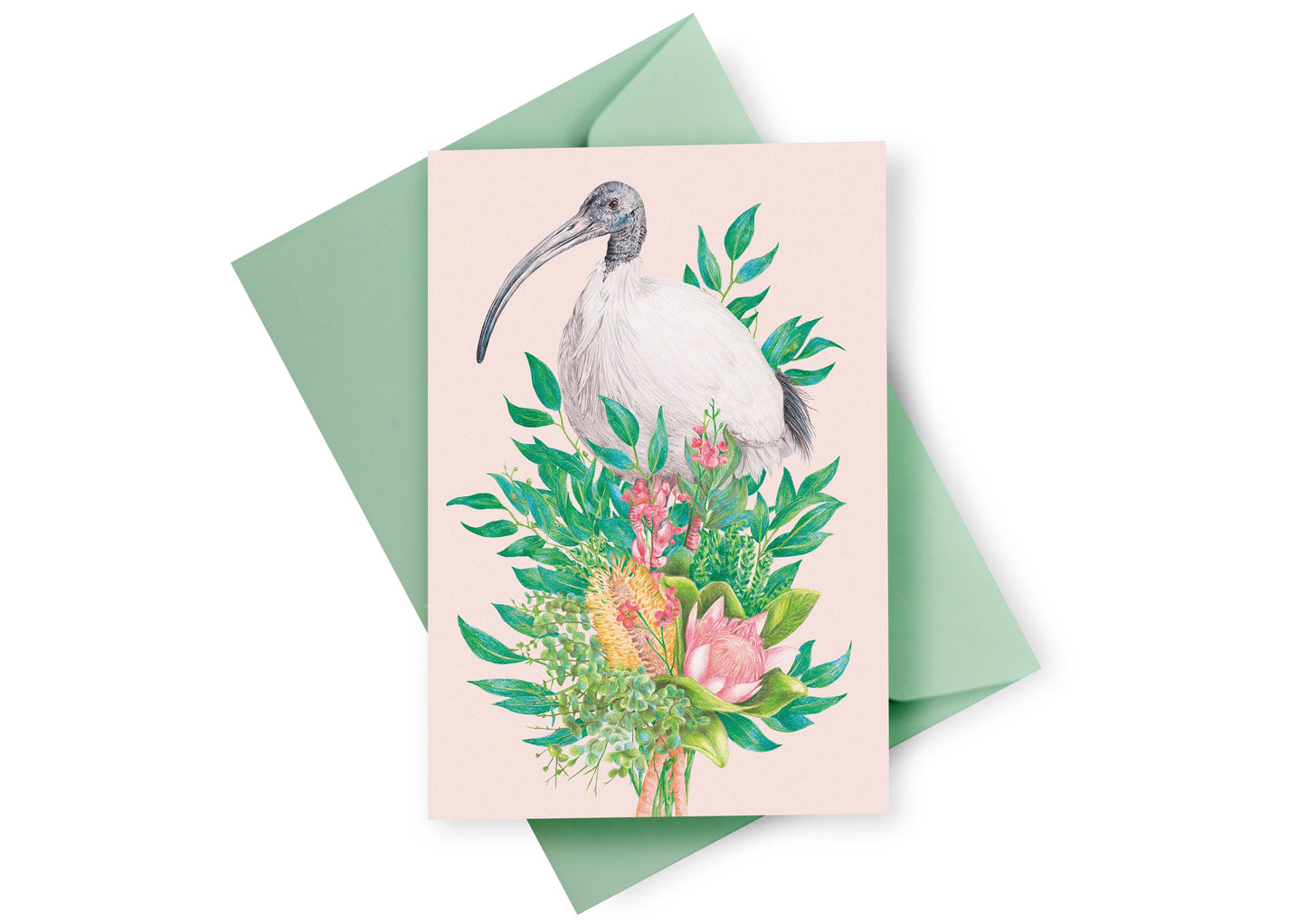 Bin Chicken (Australian White Ibis) Greeting Card