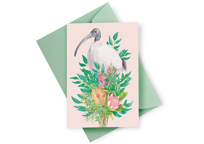 Bin Chicken (Australian White Ibis) Greeting Card