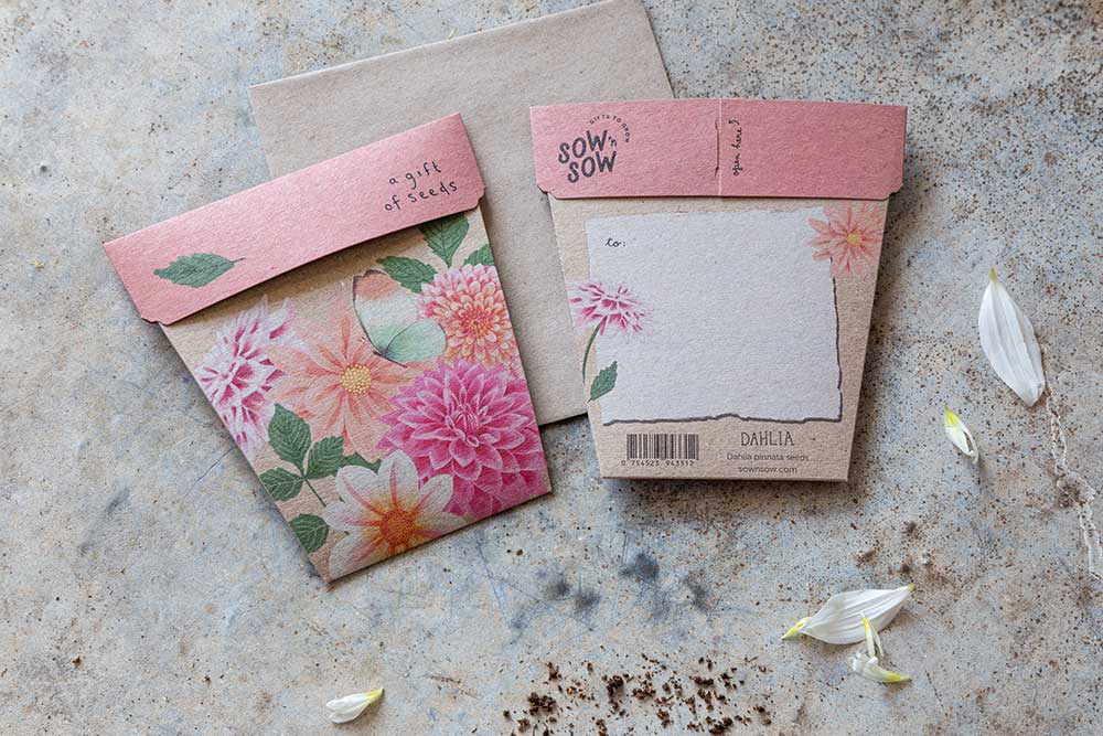 Dahlia Gift of Seeds (Australia Only)