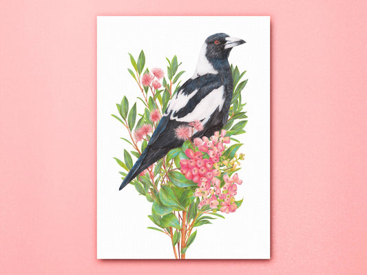 Australian Magpie Linen Art Print