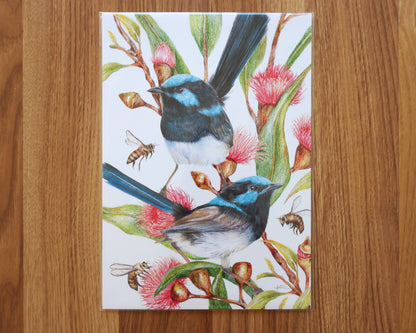 Superb Fairy-wrens - 'Blooming Hues' Art Print